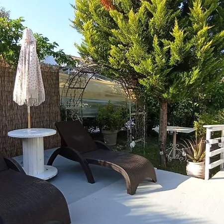 Wooden Summer House *