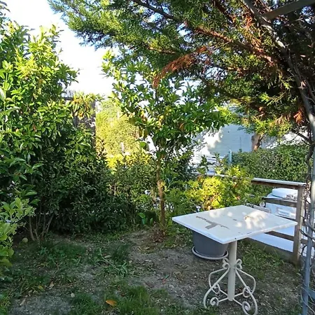 Wooden Summer House