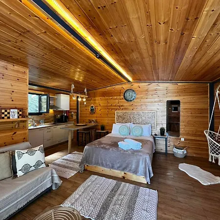 Apartment Wooden Summer House