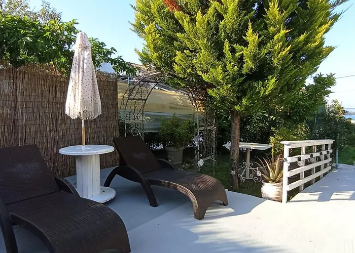 Wooden Summer House *